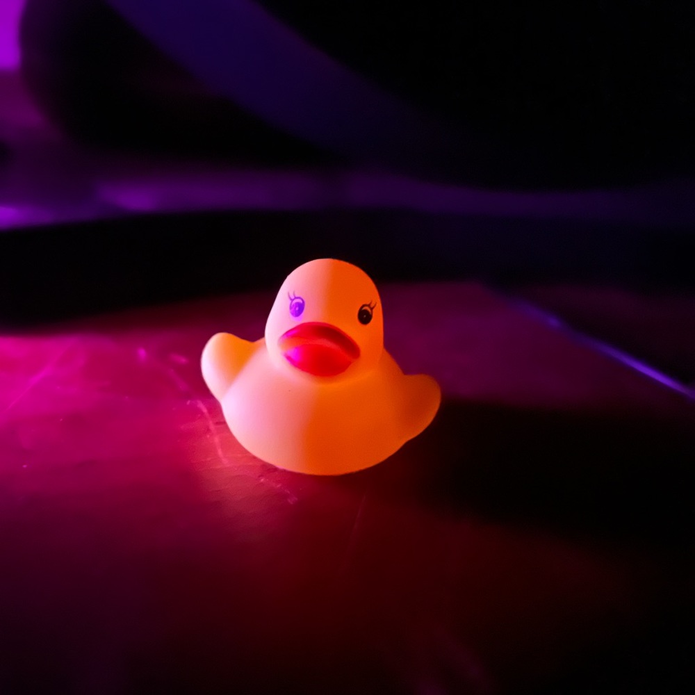 Meet your Posher, Sheepy